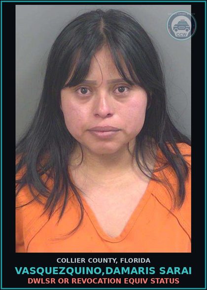 CCW arrest card for VASQUEZQUINO,DAMARIS SARAI in Collier County: DWLSR OR REVOCATION EQUIV STATUS