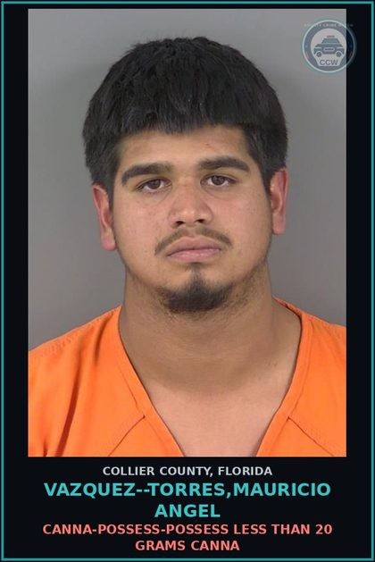 CCW arrest card for VAZQUEZ--TORRES,MAURICIO ANGEL in Collier County: Canna-POSSESS-POSSESS LESS THAN 20 GRAMS Canna
