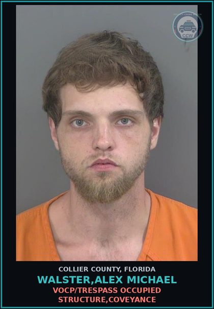 CCW arrest card for WALSTER,ALEX MICHAEL in Collier County: MOVING TRAFFIC VIOL-DWLSR REVOCATION EQUIV STATUS 2ND SUBS O