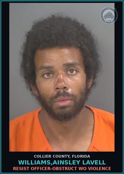 CCW arrest card for WILLIAMS,AINSLEY LAVELL in Collier County: RESIST OFFICER-OBSTRUCT WO VIOLENCE