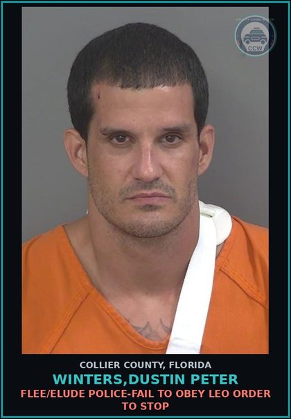 CCW arrest card for WINTERS,DUSTIN PETER in Collier County: FLEE/ELUDE POLICE-FAIL TO OBEY LEO ORDER TO STOP