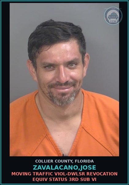 CCW arrest card for ZAVALACANO,JOSE in Collier County: MOVING TRAFFIC VIOL-DWLSR REVOCATION EQUIV STATUS 3RD SUB VI