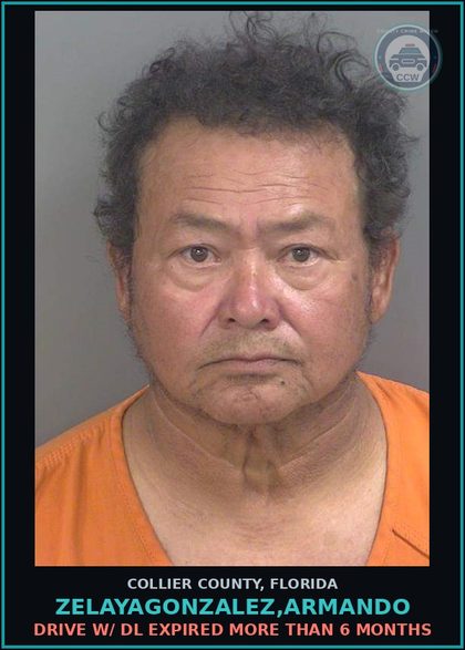 CCW arrest card for ZELAYAGONZALEZ,ARMANDO in Collier County: DRIVE W/ DL EXPIRED MORE THAN 6 MONTHS
