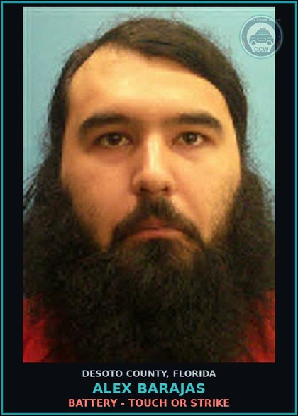 CCW arrest card for Alex Barajas in DeSoto County: BATTERY - TOUCH OR STRIKE
