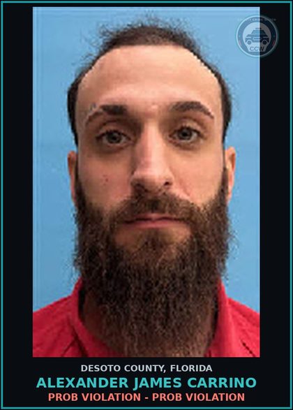 CCW arrest card for Alexander James Carrino in DeSoto County: PROB VIOLATION - PROB VIOLATION