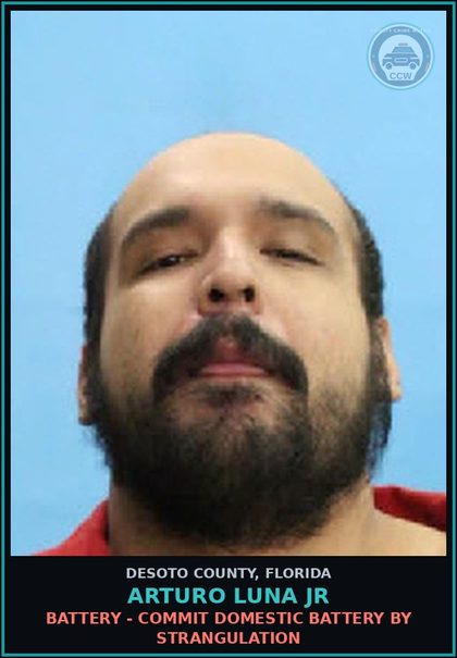 CCW arrest card for Arturo Luna Jr in DeSoto County: BATTERY - COMMIT DOMESTIC BATTERY BY STRANGULATION
