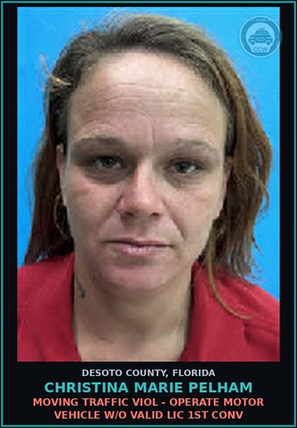 CCW arrest card for Christina Marie Pelham in DeSoto County: MOVING TRAFFIC VIOL - OPERATE MOTOR VEHICLE W/O VALID LIC 1ST CONV