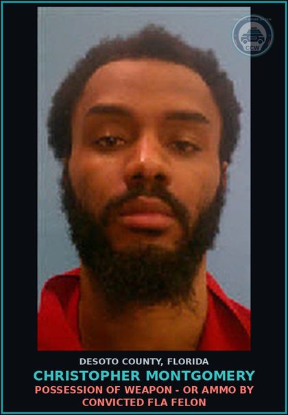 CCW arrest card for Christopher Montgomery in DeSoto County: FLEE/ELUDE POLICE - FLEE ELUDE HIGH SPEED OR DISR SAFETY PERS PROP
