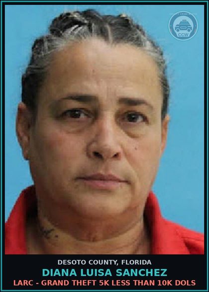 CCW arrest card for Diana Luisa Sanchez in DeSoto County: PUBLIC ORDER CRIMES - RACKETEERING VIOLATION