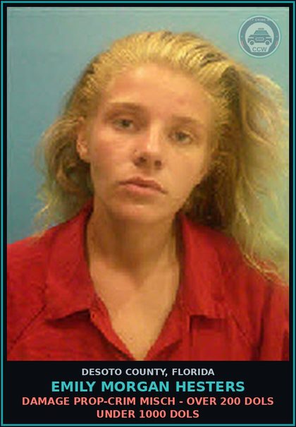 CCW arrest card for Emily Morgan Hesters in DeSoto County: DAMAGE PROP-CRIM MISCH - OVER 200 DOLS UNDER 1000 DOLS