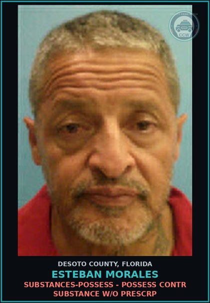 CCW arrest card for Esteban Morales in DeSoto County: DRUGS-POSSESS - POSSESS contr substance W/O PRESCRIPTION