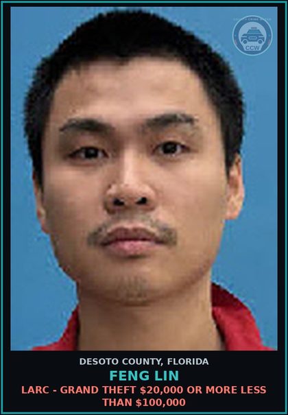 CCW arrest card for Feng Lin in DeSoto County: LARC - GRAND THEFT $20,000 OR MORE LESS THAN $100,000