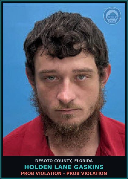 CCW arrest card for Holden Lane Gaskins in DeSoto County: PROB VIOLATION - PROB VIOLATION