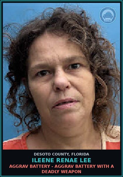 CCW arrest card for Ileene Renae Lee in DeSoto County: AGGRAV BATTERY - AGGRAV BATTERY WITH A DEADLY WEAPON