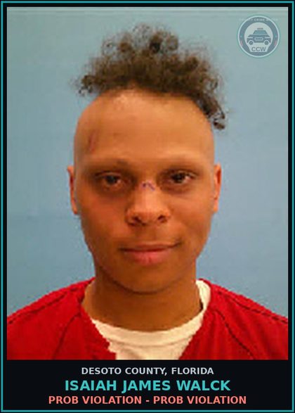CCW arrest card for Isaiah James Walck in DeSoto County: PROB VIOLATION - PROB VIOLATION