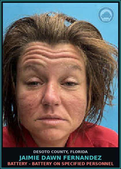 CCW arrest card for Jaimie Dawn Fernandez in DeSoto County: DISORDERLY INTOX - DISORDER INTOX PUBLIC PLACE CAUSE DISTURBANCE