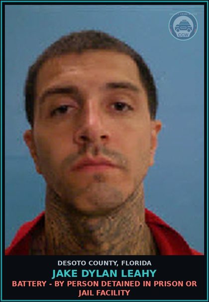 CCW arrest card for Jake Dylan Leahy in DeSoto County: DRUGS-POSSESS - POSSESS contr substance W/O PRESCRIPTION