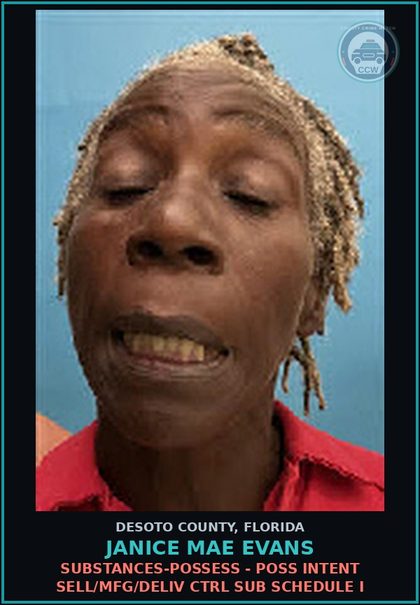 CCW arrest card for Janice Mae Evans in DeSoto County: LARC - OTHER THEFT