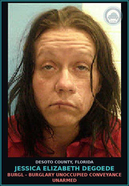 CCW arrest card for Jessica Elizabeth Degoede in DeSoto County: VEH THEFT - GRAND THEFT OF MOTOR VEHICLE