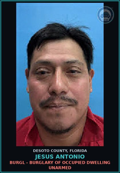 CCW arrest card for Jesus Antonio in DeSoto County: BATTERY - TOUCH OR STRIKE