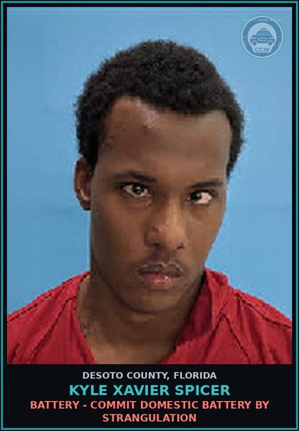 CCW arrest card for Kyle Xavier Spicer in DeSoto County: BATTERY - COMMIT DOMESTIC BATTERY BY STRANGULATION
