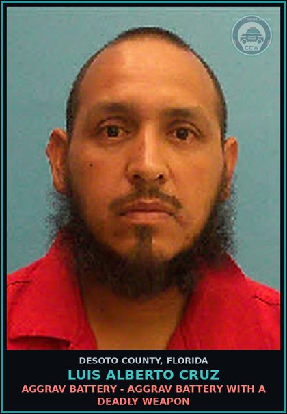 CCW arrest card for Luis Alberto Cruz in DeSoto County: AGGRAV BATTERY - AGGRAV BATTERY WITH A DEADLY WEAPON