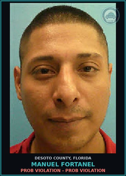 CCW arrest card for Manuel Fortanel in DeSoto County: PROB VIOLATION - PROB VIOLATION