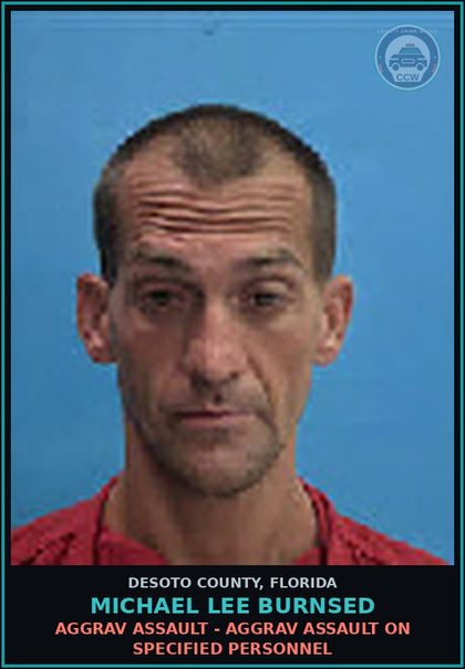 CCW arrest card for Michael Lee Burnsed in DeSoto County: AGGRAV ASSAULT - AGGRAV ASSAULT ON SPECIFIED PERSONNEL