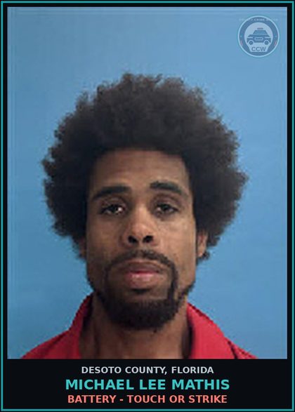 CCW arrest card for Michael Lee Mathis in DeSoto County: DRUGS-POSSESS - POSSESS contr substance W/O PRESCRIPTION