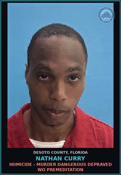 CCW arrest card for Nathan Curry in DeSoto County: ROBBERY - WITH WEAPON