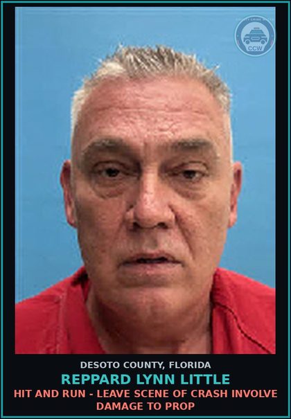 CCW arrest card for Reppard Lynn Little in DeSoto County: HIT AND RUN - LEAVE SCENE OF CRASH INVOLVE DAMAGE TO PROP
