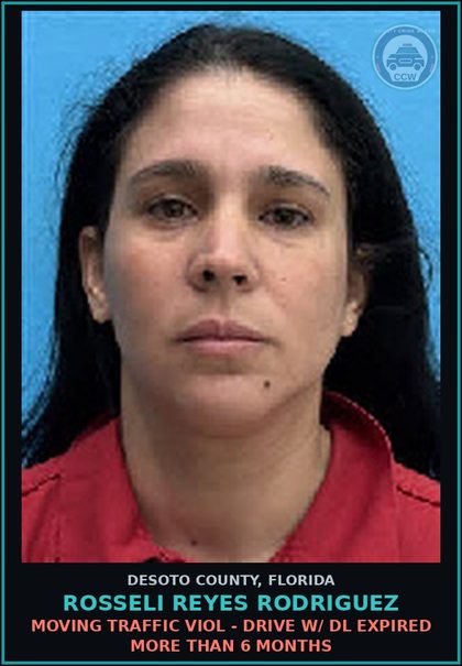 CCW arrest card for Rosseli Reyes Rodriguez in DeSoto County: MOVING TRAFFIC VIOL - DRIVE W/ DL EXPIRED MORE THAN 6 MONTHS