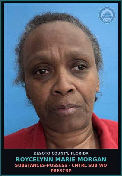 CCW arrest card for Roycelynn Marie Morgan in DeSoto County: DRUGS-POSSESS - CNTRL SUB WO PRESCRIPTION