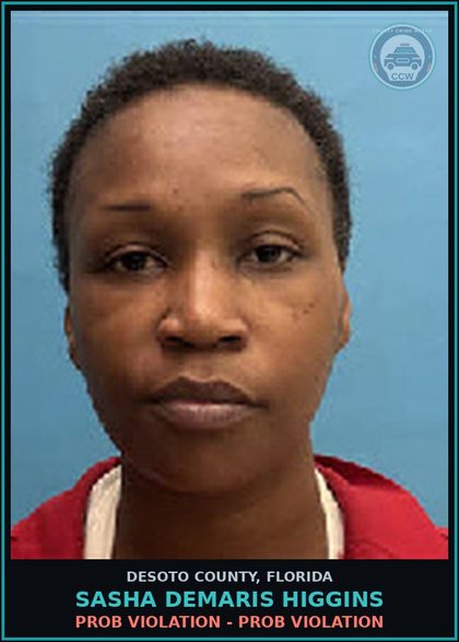 CCW arrest card for Sasha Demaris Higgins in DeSoto County: PROB VIOLATION - PROB VIOLATION