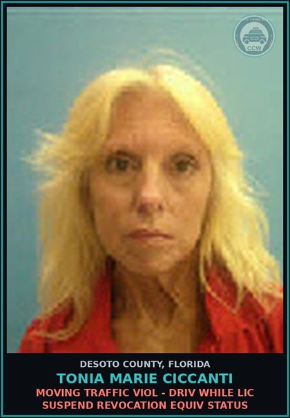 CCW arrest card for Tonia Marie Ciccanti in DeSoto County: MOVING TRAFFIC VIOL - DRIV WHILE LIC SUSPEND REVOCATION EQUIV STATUS