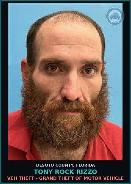 CCW arrest card for Tony Rock Rizzo in DeSoto County: VEH THEFT - GRAND THEFT OF MOTOR VEHICLE