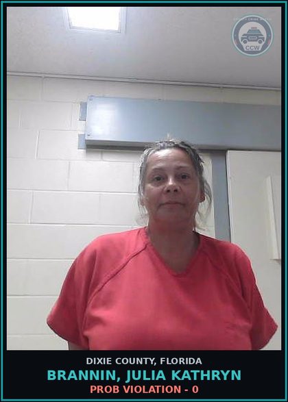 CCW arrest card for BRANNIN, JULIA KATHRYN in Dixie County: PROB VIOLATION - 0