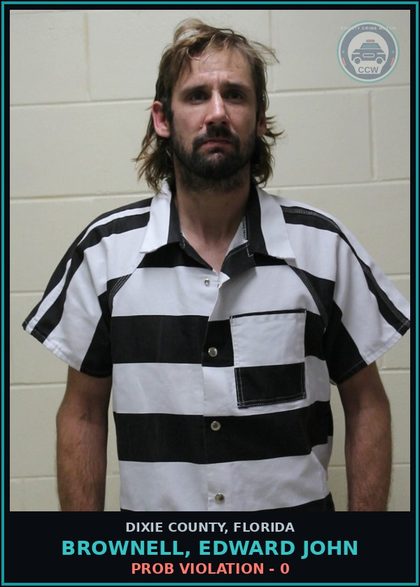 CCW arrest card for BROWNELL, EDWARD JOHN in Dixie County: PROB VIOLATION - 0