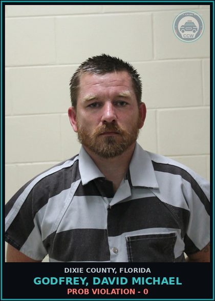 CCW arrest card for GODFREY, DAVID MICHAEL in Dixie County: PROB VIOLATION - 0
