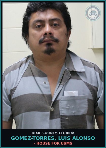 CCW arrest card for GOMEZ-TORRES, LUIS ALONSO in Dixie County: - HOUSE FOR USMS