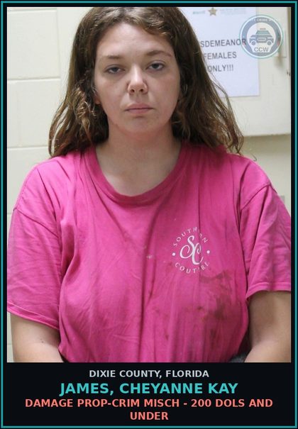 CCW arrest card for JAMES, CHEYANNE KAY in Dixie County: DAMAGE PROP-CRIM MISCH - 200 DOLS AND UNDER