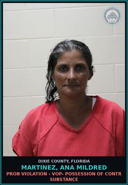 CCW arrest card for MARTINEZ, ANA MILDRED in Dixie County: PROB VIOLATION - VOP- POSSESSION OF contr substance