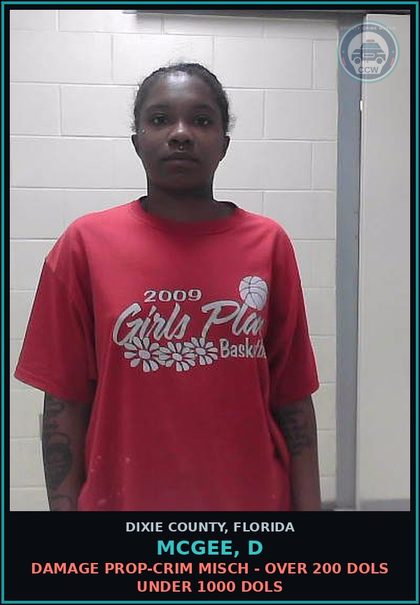 CCW arrest card for MCGEE, D in Dixie County: DAMAGE PROP-CRIM MISCH - OVER 200 DOLS UNDER 1000 DOLS