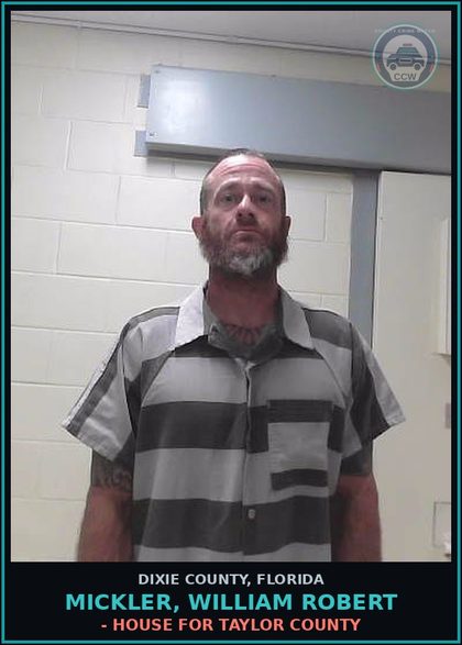CCW arrest card for MICKLER, WILLIAM ROBERT in Dixie County: - HOUSE FOR TAYLOR COUNTY