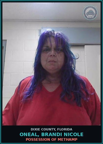 CCW arrest card for ONEAL, BRANDI NICOLE in Dixie County: POSSESSION OF Methamp