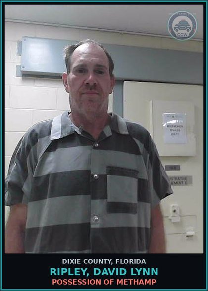 CCW arrest card for RIPLEY, DAVID LYNN in Dixie County: POSSESSION OF Methamp