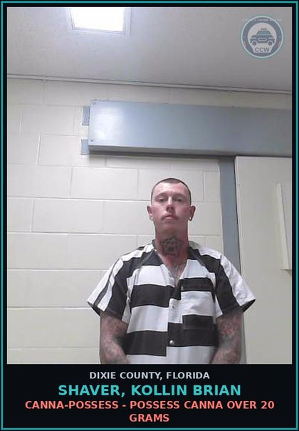 CCW arrest card for SHAVER, KOLLIN BRIAN in Dixie County: Canna-POSSESS - POSSESS Canna OVER 20 GRAMS