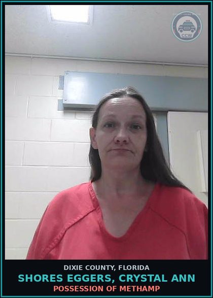 CCW arrest card for SHORES EGGERS, CRYSTAL ANN in Dixie County: OUT-OF-COUNTY WARRANT