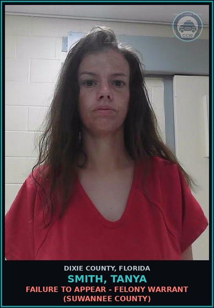 CCW arrest card for SMITH, TANYA in Dixie County: FAILURE TO APPEAR - FELONY WARRANT (SUWANNEE COUNTY)