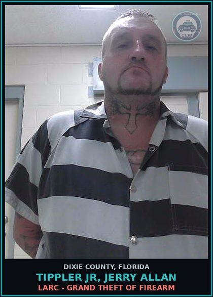 CCW arrest card for TIPPLER JR, JERRY ALLAN in Dixie County: VEH THEFT - GRAND THEFT OF MOTOR VEHICLE